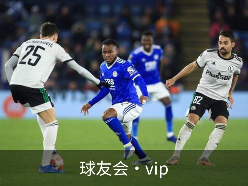 球友会·vip介绍
